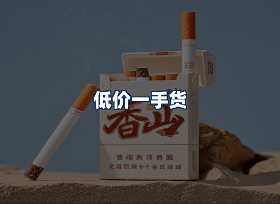 专业团队办公环境